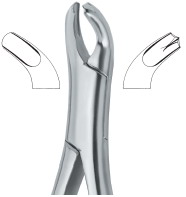 Tooth Ext Forceps Amr