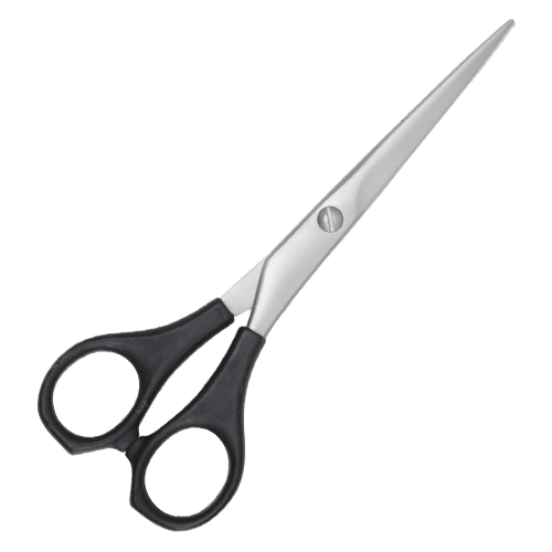 Plastic Handle Scissors