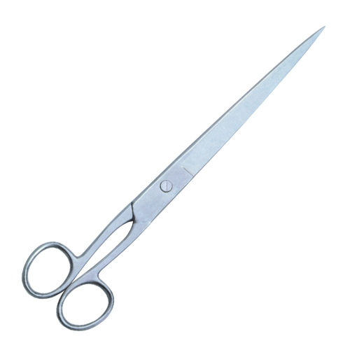 Tailor Scissors